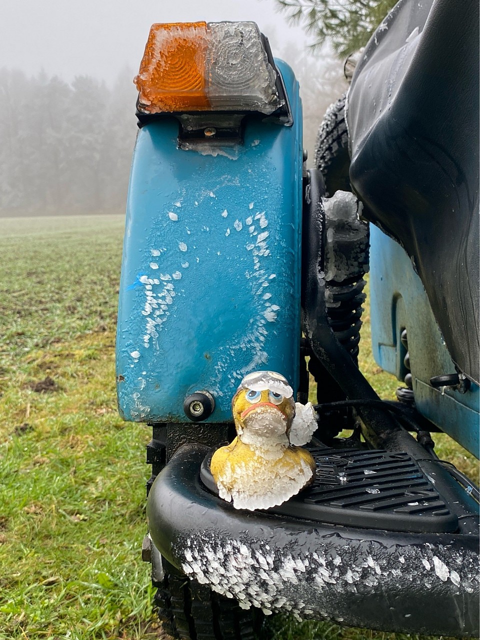 Tiefgekühlter Copilot.