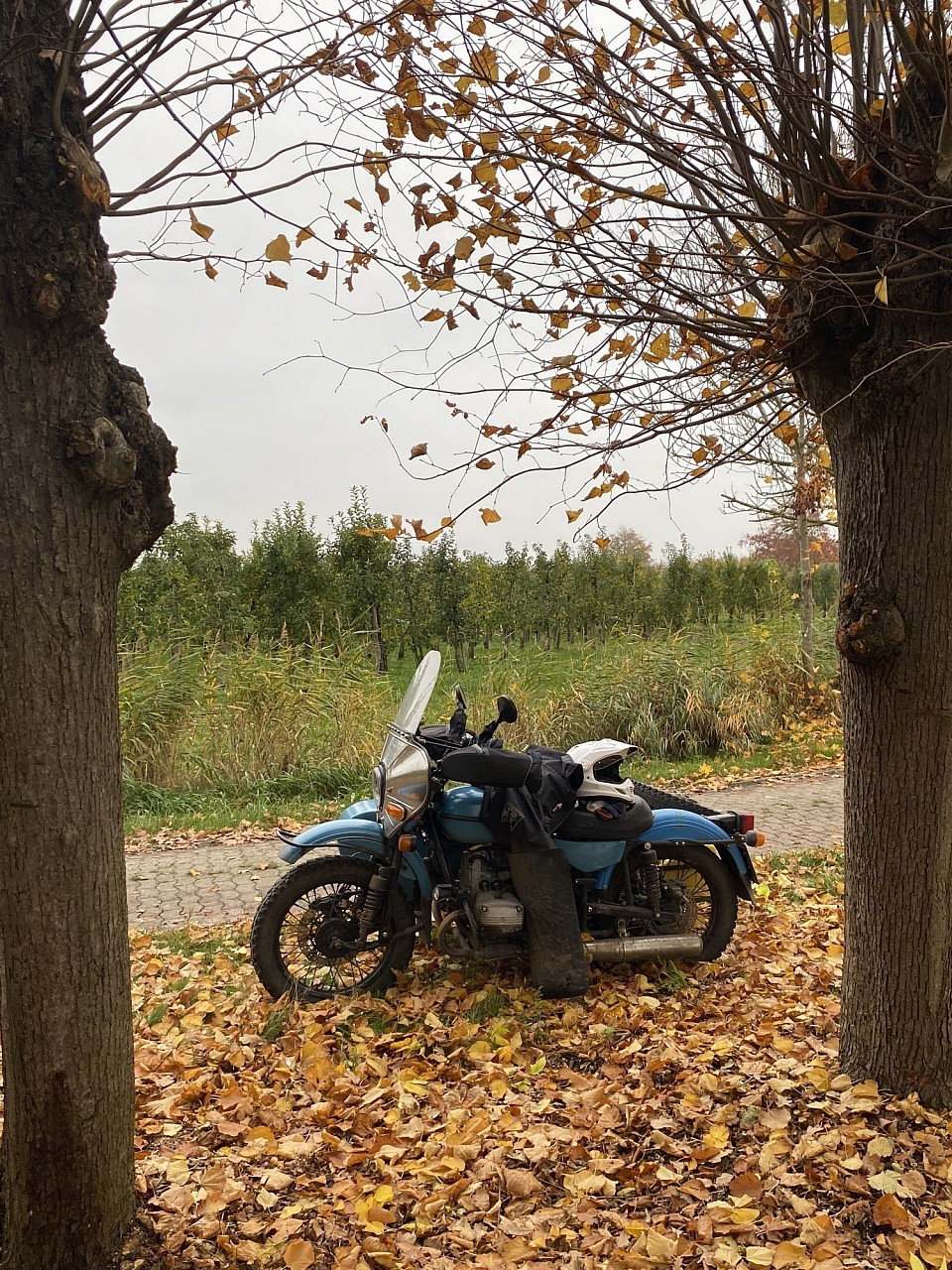 Thingplatz Schinkel.