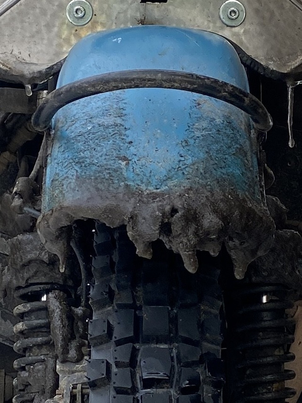 Ist kalt, meine Hübsche hat sich einen Eisbart zugelegt.