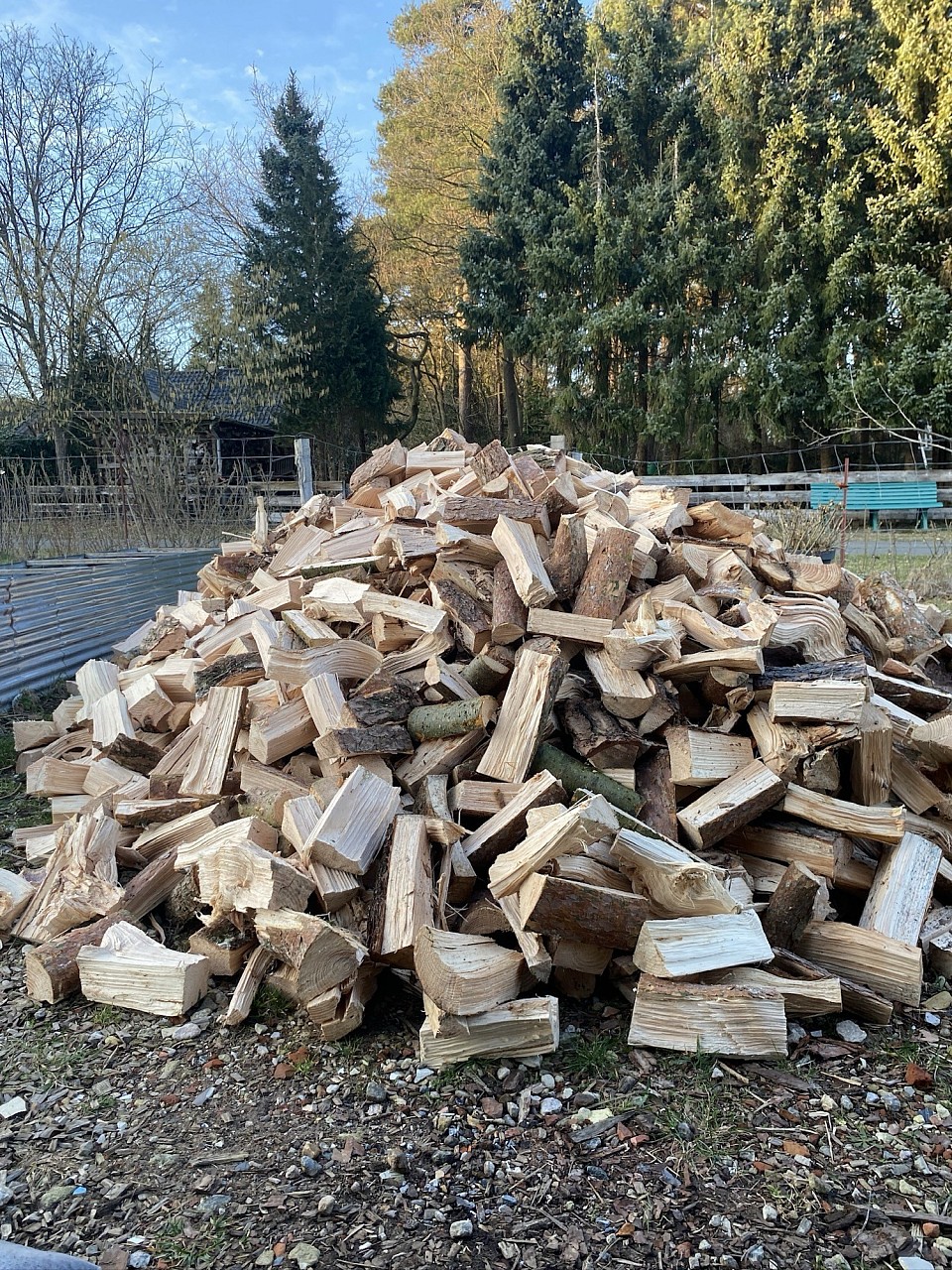 Jens hat mir zwölf Ster frisches Holz gebracht. Gestern geschlagen.