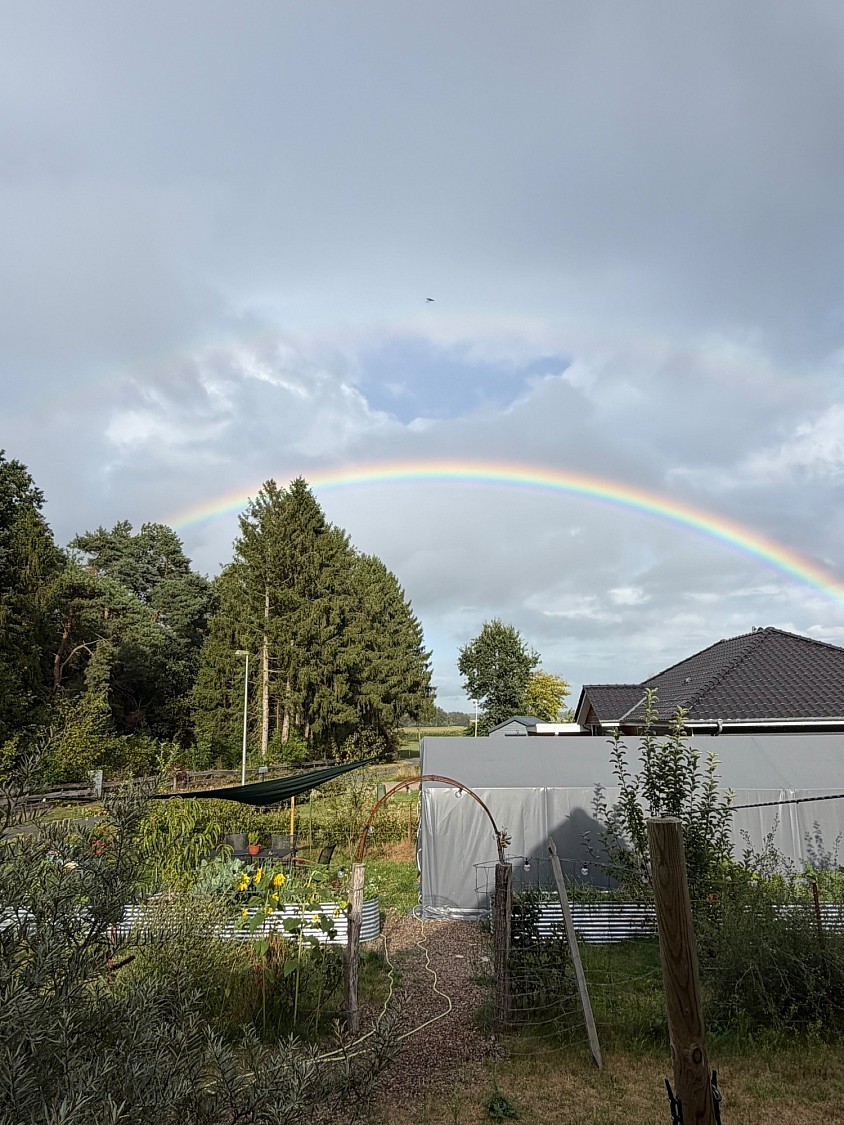 Regenbogen